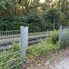 FW Paderborn: Feuerwehr rettet sieben Schwäne von Bahngleisen