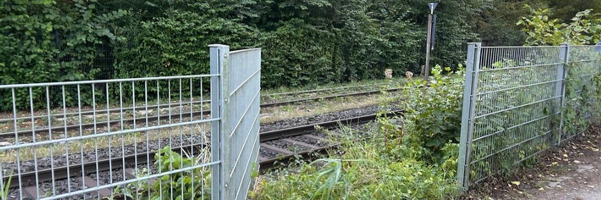 FW Paderborn: Feuerwehr rettet sieben Schwäne von Bahngleisen