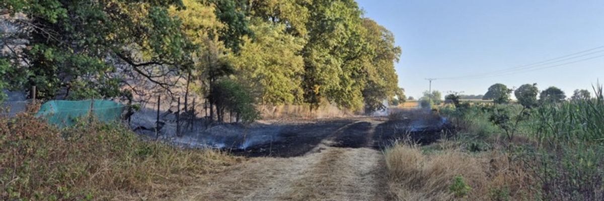 FW Sonsbeck: Waldbrand in Labbeck