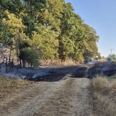 FW Sonsbeck: Waldbrand in Labbeck