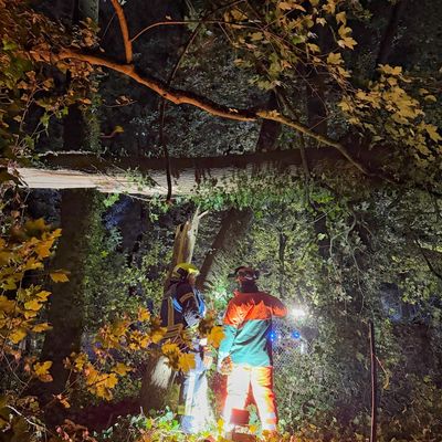 FW-NE: Bombenentschärfung und 39 Sturmeinsätze beschäftigen Feuerwehr Neuss | Abschlussbericht - Stand: 24.10.2026 - 12:00 Uhr