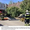 FW-M: Zwei Einsätze der Höhenrettungsgruppe (Laim, Sendling-Westpark)