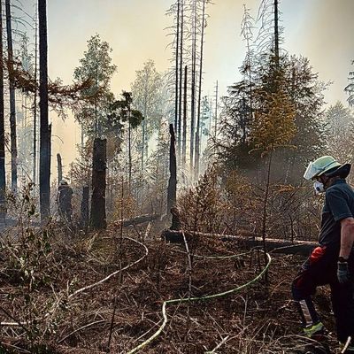 FW Kreis Soest: Zweite Folgemeldung zum Waldbrand in Möhnesee: Brand unter Kontrolle - Löscharbeiten dauern an