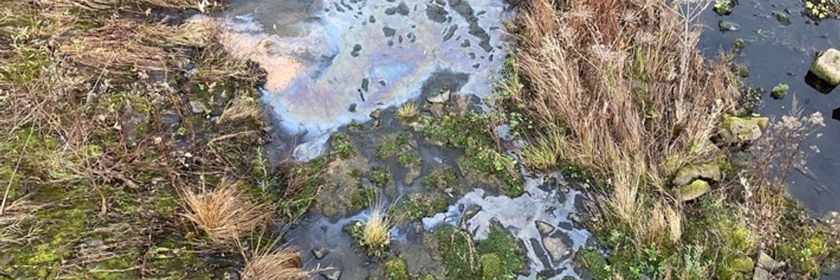 FW-MH: Vermutete Gewässerverunreinigung an der Kassenbergbrücke - Natürliches Phänomen löst Feuerwehreinsatz aus