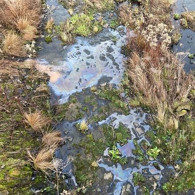 FW-MH: Vermutete Gewässerverunreinigung an der Kassenbergbrücke - Natürliches Phänomen löst Feuerwehreinsatz aus