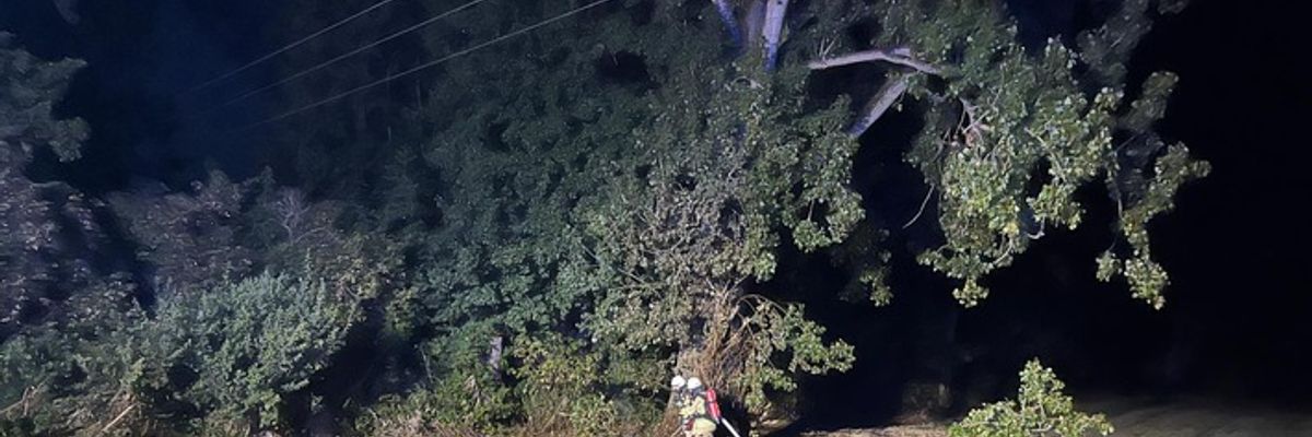 FW Rheurdt: Abgebrochener Ast verursacht Brand und flächendeckenden Stromausfall