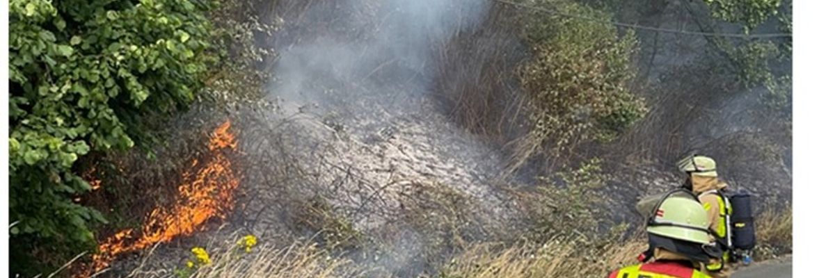 FW-GLA: Flächenbrand an der BAB 2 fordert umfangreichen Feuerwehreinsatz