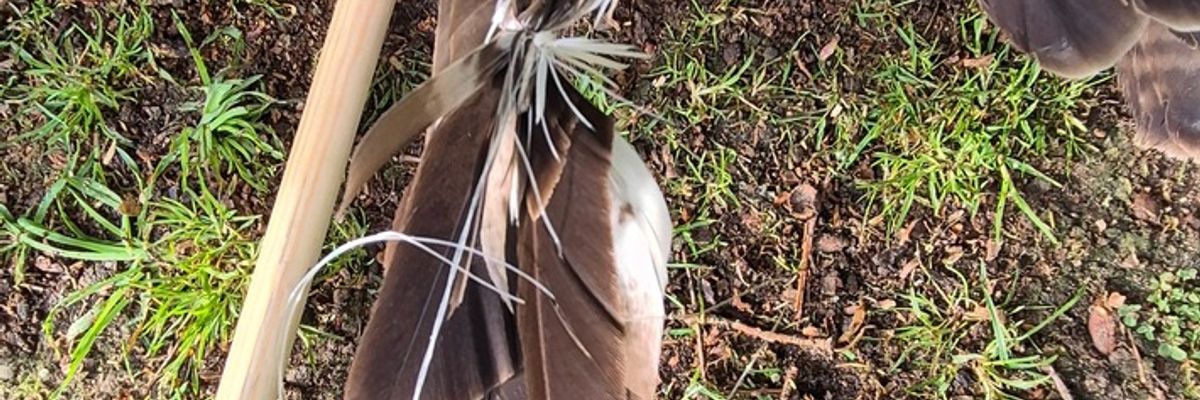 FFW Schiffdorf: Feuerwehr rettet Vogel aus misslicher Lage