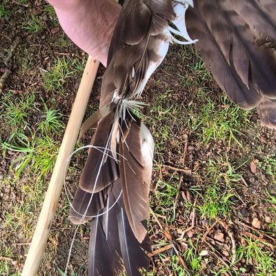 FFW Schiffdorf: Feuerwehr rettet Vogel aus misslicher Lage