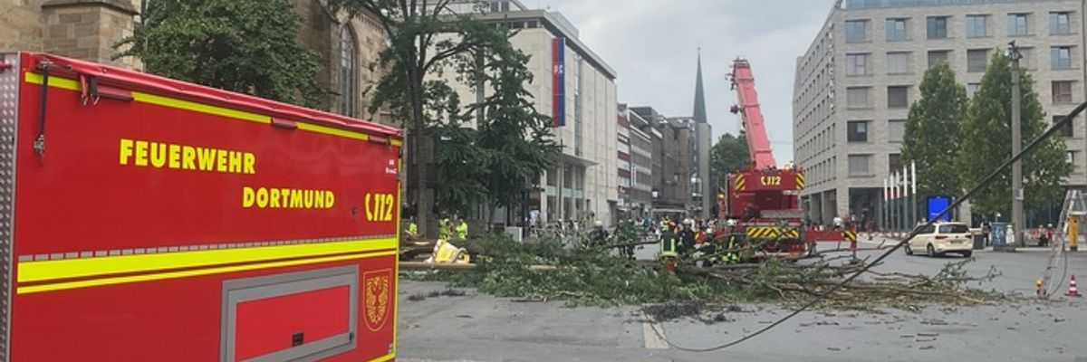 FW-DO: Umgestürzter Baum an der Reinoldikirche beschädigt Stromleitung und EDG-Reinigungsfahrzeug