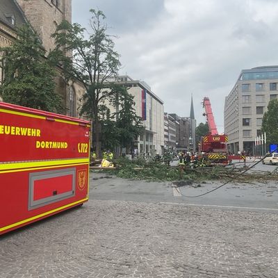 FW-DO: Umgestürzter Baum an der Reinoldikirche beschädigt Stromleitung und EDG-Reinigungsfahrzeug