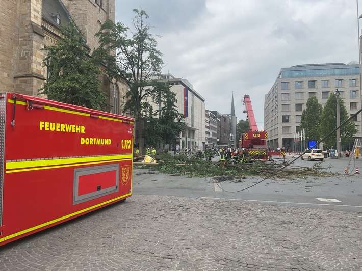 FW-DO: Umgestürzter Baum an der Reinoldikirche beschädigt Stromleitung und EDG-Reinigungsfahrzeug