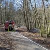 FW-KLE: Waldbrand am Sternberg schnell unter Kontrolle