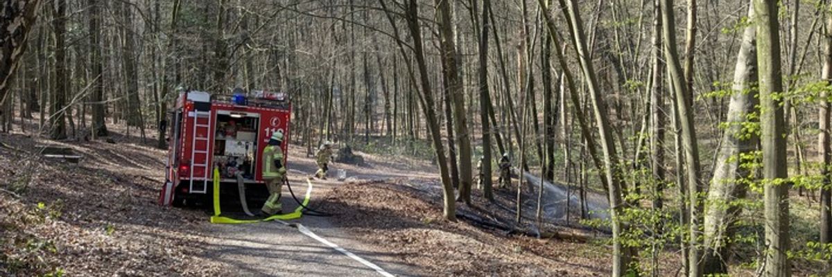 FW-KLE: Waldbrand am Sternberg schnell unter Kontrolle
