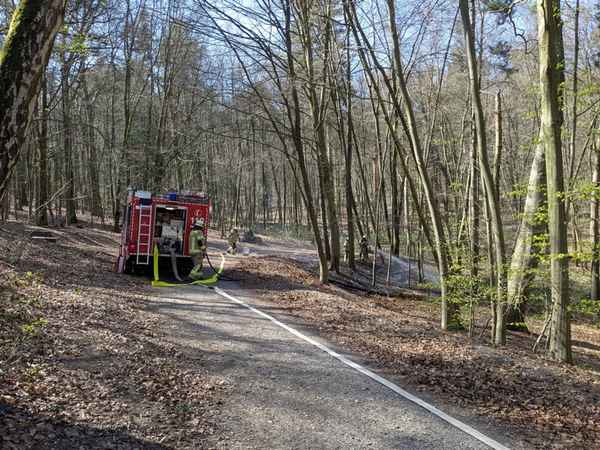 FW-KLE: Waldbrand am Sternberg schnell unter Kontrolle