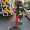 FW Weinheim: Kleiner Brand, starke Rauchentwicklung