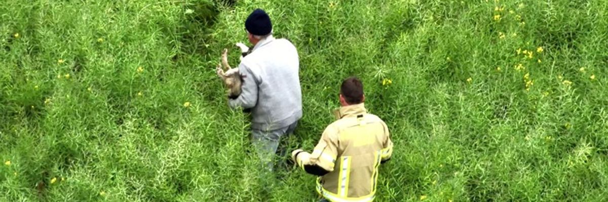 FW-KLE: Geschwächter Hund mit Drohne in Rapsfeld geortet und gerettet