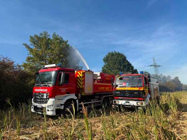 Feuerwehr MTK: Großeinsatz bei Vegetationsbrand in Hattersheim: Mehr als 200 Einsatzkräfte bekämpfen ausgedehnten Wiesen- und Waldbrand - umfangreiche Nachlöscharbeiten dauern an