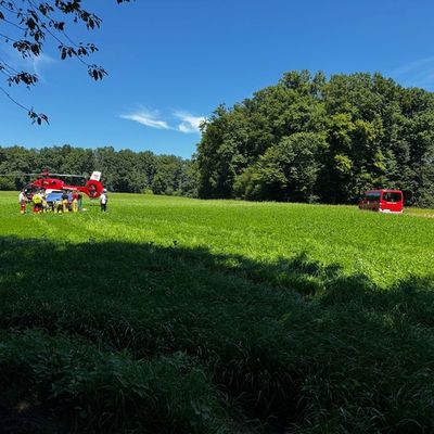 FW Weinheim: Arbeitsunfall im Wald Feuerwehr und Rettungsdienst retten verletzte Person aus unwegsamem Gelände
