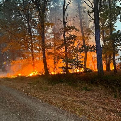 FW-BN: EU Waldbrandmodul im Kreis Düren im Einsatz, 1. Folgemeldung