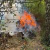 FFW Bergen: Zwei Einsätze für die Ortsfeuerwehr Bergen am Sonntag Nachmittag
