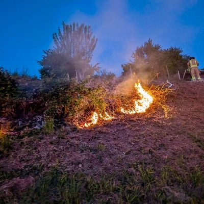 FW Weinheim: Feuer im Weinberg - Weinheimer Feuerwehr stoppt Flammen im Abendrot