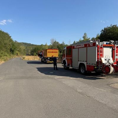 FW Bergheim: Erweiterte Einsatzinformation - Waldbrand an der Landstraße 91bei Oberaußem