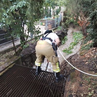 FW Weinheim: Starkregen über Weinheim. Feuerwehr arbeitet zahlreiche Einsatzstellen innerhalb kurzer Zeit ab.
