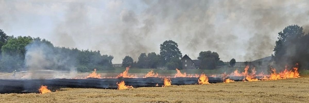 FW Bad Oeynhausen: Feuer auf Stoppelfeld in Eidinghausen