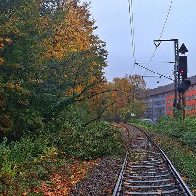 FW Konstanz: Unwetterlage fordert die Feuerwehr