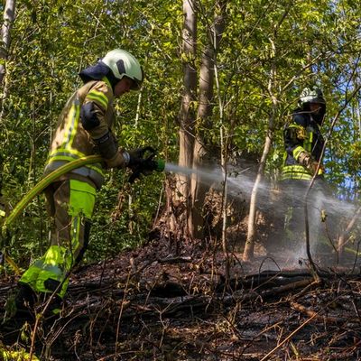FW-MK: Flächenbrand am "Lünkerhohl"