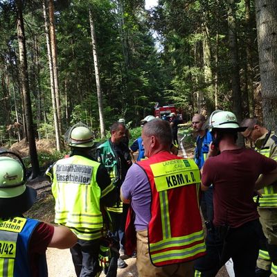 KFV-CW: Waldfläche in Brand / Feuerwehr verhindert Ausbreitung