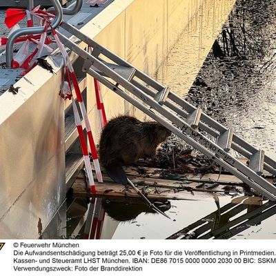 FW-M: Wochenendrückblick der Feuerwehr München für den 6. bis 8. März 2026