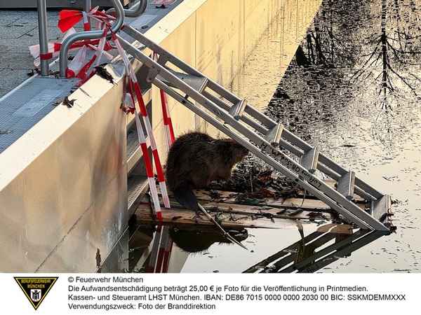 FW-M: Wochenendrückblick der Feuerwehr München für den 6. bis 8. März 2026