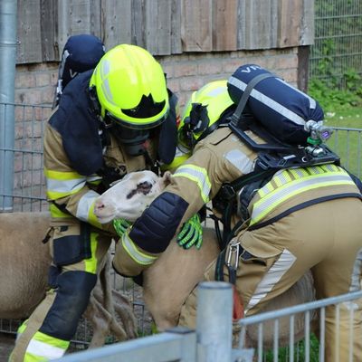 FW-KLE: "Grenzenloses Wasser" - Deutsch-niederländische Feuerwehrübung im Tiergarten Kleve stärkt Zusammenarbeit über Ländergrenzen hinweg