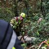 FW-MK: Feuerwehr rettet Golden Retriever aus Steilhang im Iserlohner Stadtwald