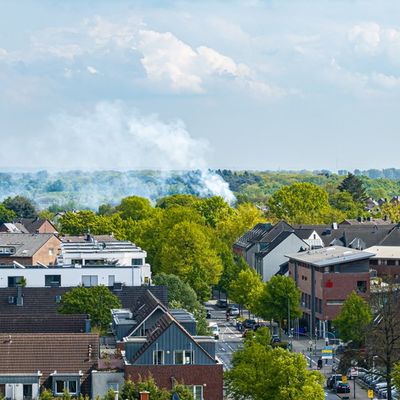 FW-NE: Feuer in Grimlinghausen: Baum und Garage in Brand - schnelle Löschmaßnahmen verhindern Schlimmeres