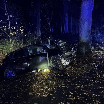 FW Paderborn: Verkehrsunfall in Paderborn-Sande Zwei Verletzte nach Frontalaufprall gegen Baum