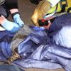 FW Dresden: Brennende Couch in Wohnung