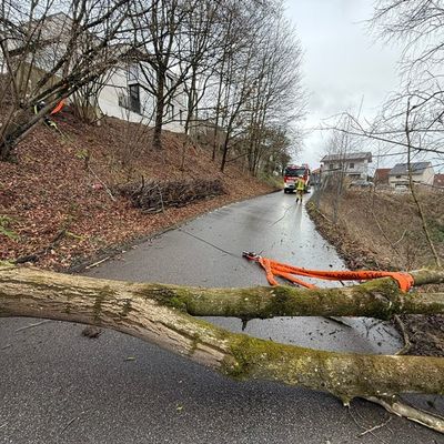 FW Weinheim: Windböe fordert Feuerwehr in Rippenweier