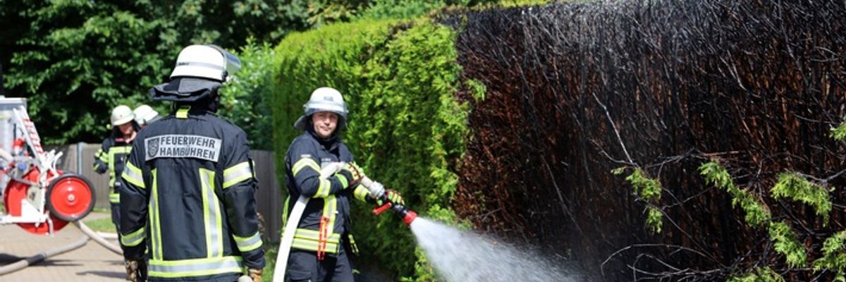 FW Hambühren: Unkraut abflammen? Keine gute Idee! - Feuerwehr Hambühren rückt zu Heckenbrand aus