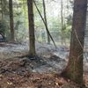 FW-DT: Flächenbrand im Leistruper Wald