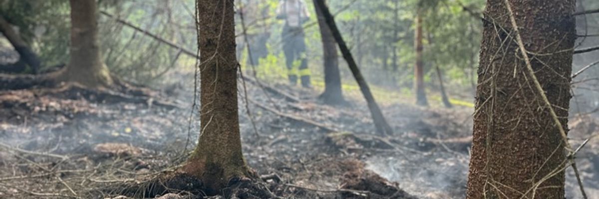 FW-DT: Flächenbrand im Leistruper Wald