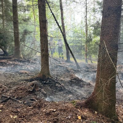 FW-DT: Flächenbrand im Leistruper Wald
