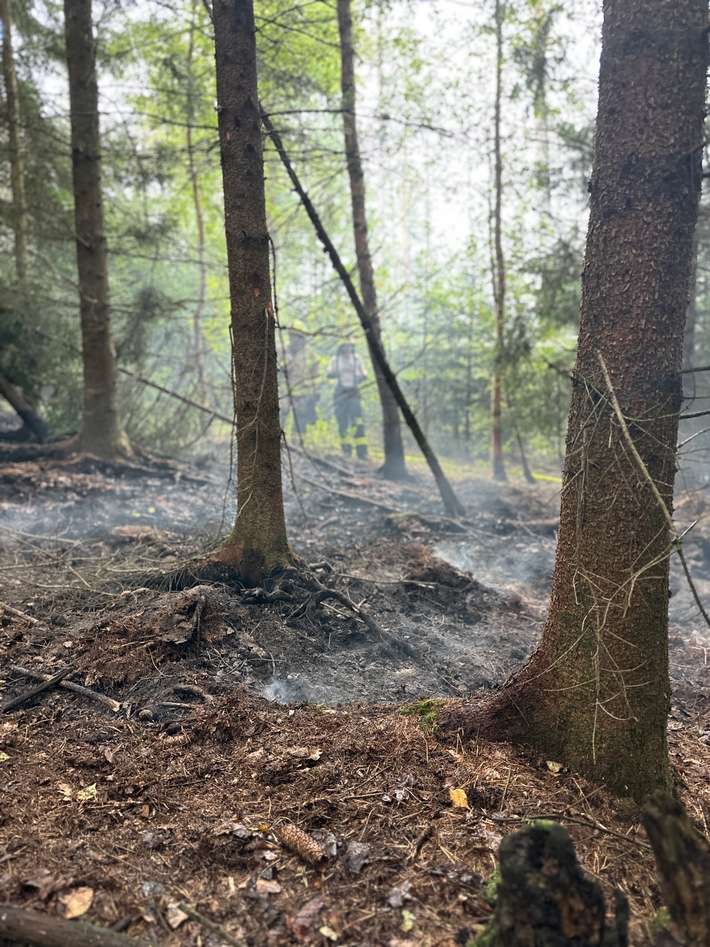 FW-DT: Flächenbrand im Leistruper Wald