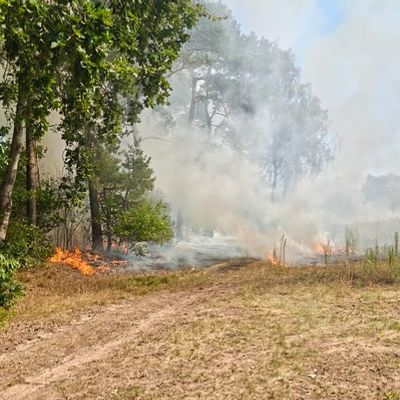 FW-ROW: Wald- und Flächenbrand zwischen Zeven und Godenstedt