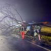 FW Flotwedel: LKW kommt von Fahrbahn ab - Baum blockiert B214