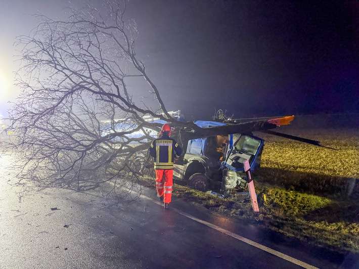 FW Flotwedel: LKW kommt von Fahrbahn ab - Baum blockiert B214