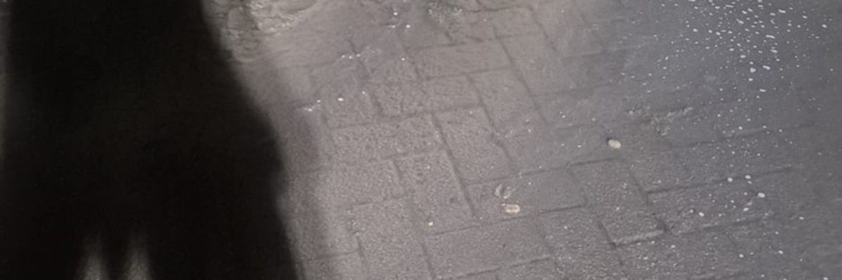 FW-OLL: Wasserrohrbruch unter der Straße