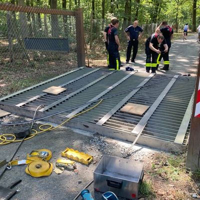 FW-F: Adlerblick und Teamgeist: Feuerwehr Frankfurt rettet Bussard "Hugo" aus misslicher Lage